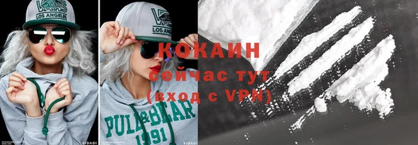 apvp Богородицк